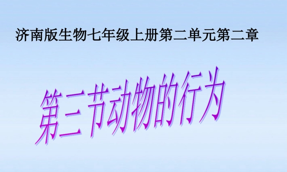 七年级生物上册 第二章生物圈中的动物第二节动物的行为课件4 济南版 课件