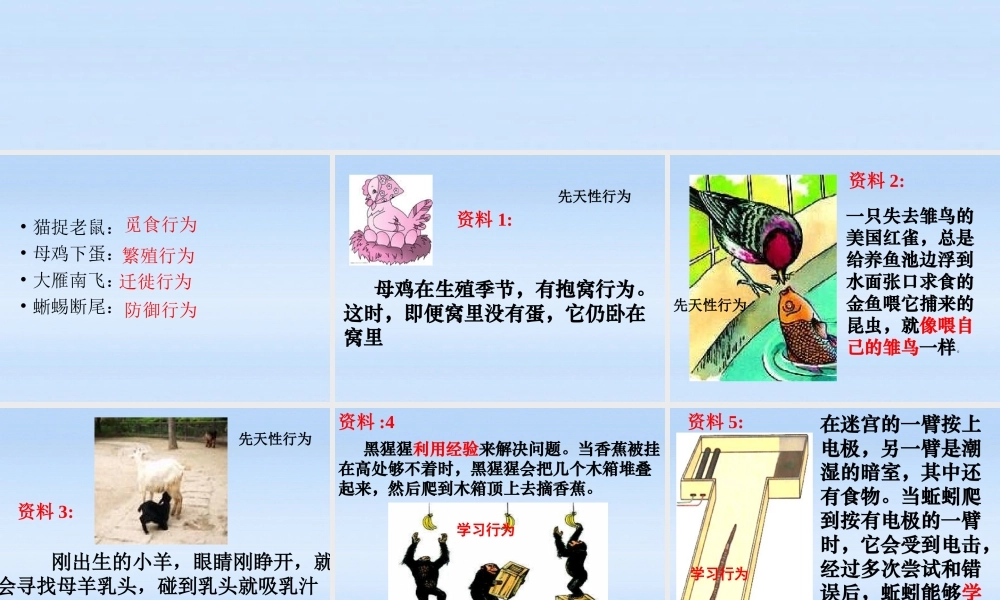 七年级生物上册 第二章生物圈中的动物第二节动物的行为课件4 济南版 课件