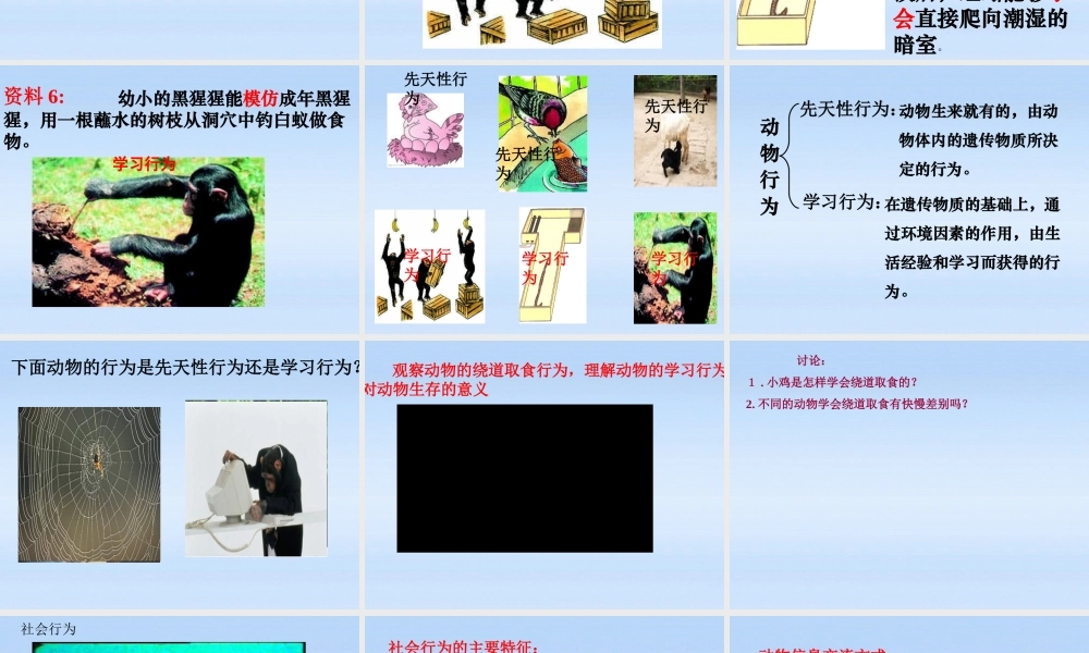 七年级生物上册 第二章生物圈中的动物第二节动物的行为课件4 济南版 课件