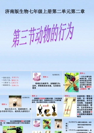 七年级生物上册 第二章生物圈中的动物第二节动物的行为课件4 济南版 课件