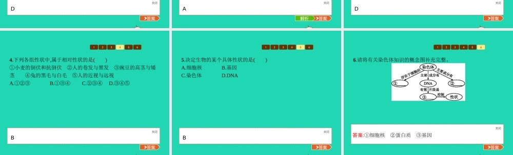 八年级生物上册 第四单元 第四章 第二节 性状的遗传(第1课时 性状与相对性状)课件 (新版)济南版 课件
