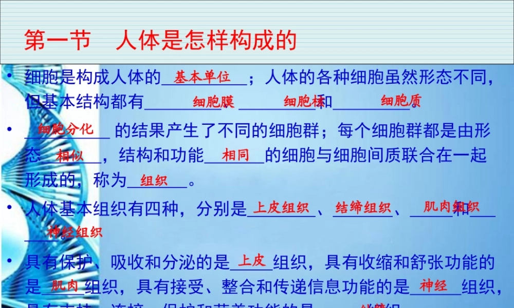 八年级生物 第一学期(试验本)第1章 第一节 人体是怎样构成的课件 上海版 课件