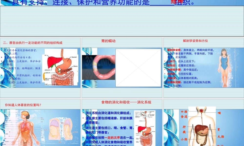 八年级生物 第一学期(试验本)第1章 第一节 人体是怎样构成的课件 上海版 课件