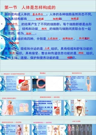 八年级生物 第一学期(试验本)第1章 第一节 人体是怎样构成的课件 上海版 课件