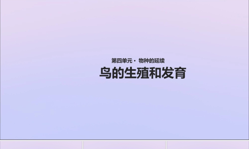 八年级生物上册 第四单元 物种的延续 第二章 动物的生殖和发育 第三节 鸟的生殖和发育课件(新版)济南版 课件