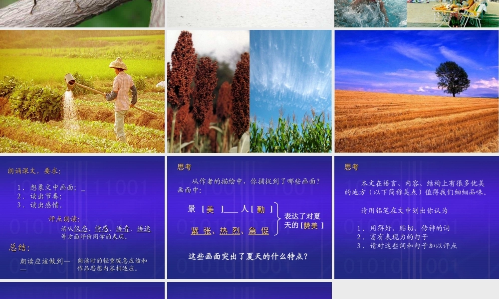 七年级语文夏课件3 苏教版 课件