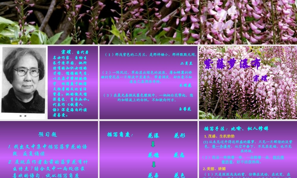 八年级语文下册(紫藤萝瀑布)课件3 苏教版 课件