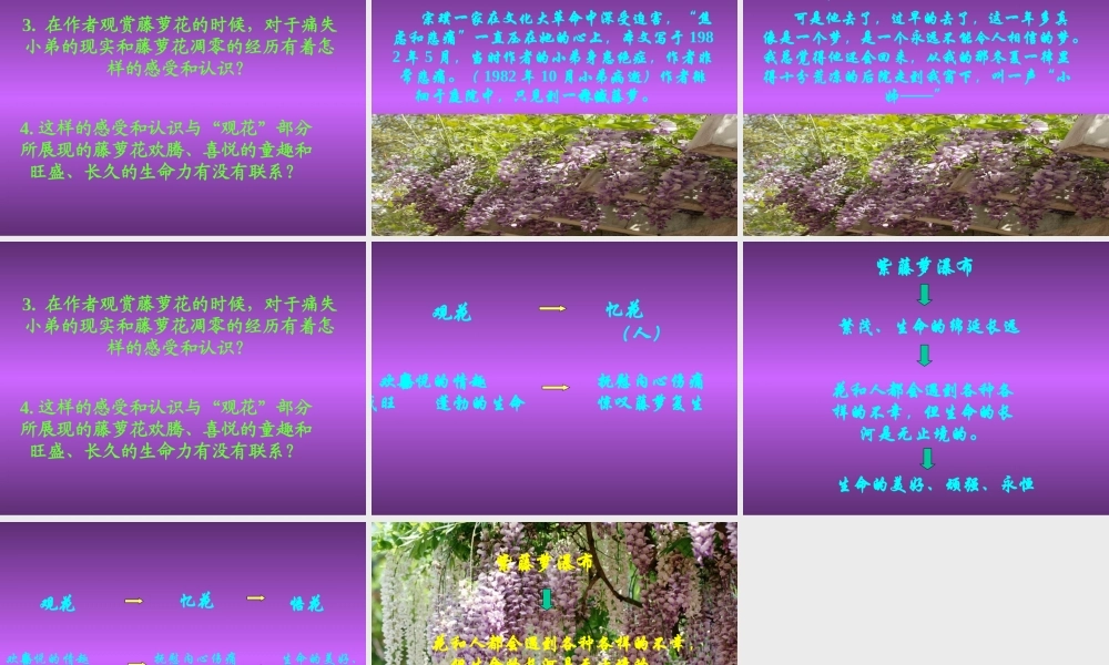 八年级语文下册(紫藤萝瀑布)课件3 苏教版 课件