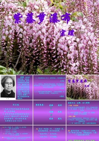 八年级语文下册(紫藤萝瀑布)课件3 苏教版 课件