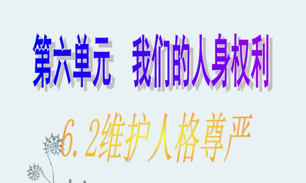 八年级政治下册 维护人格尊严课件 粤教版 课件