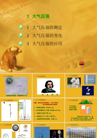 八年级科学上册 3.3大气压强课件 华师大版 课件