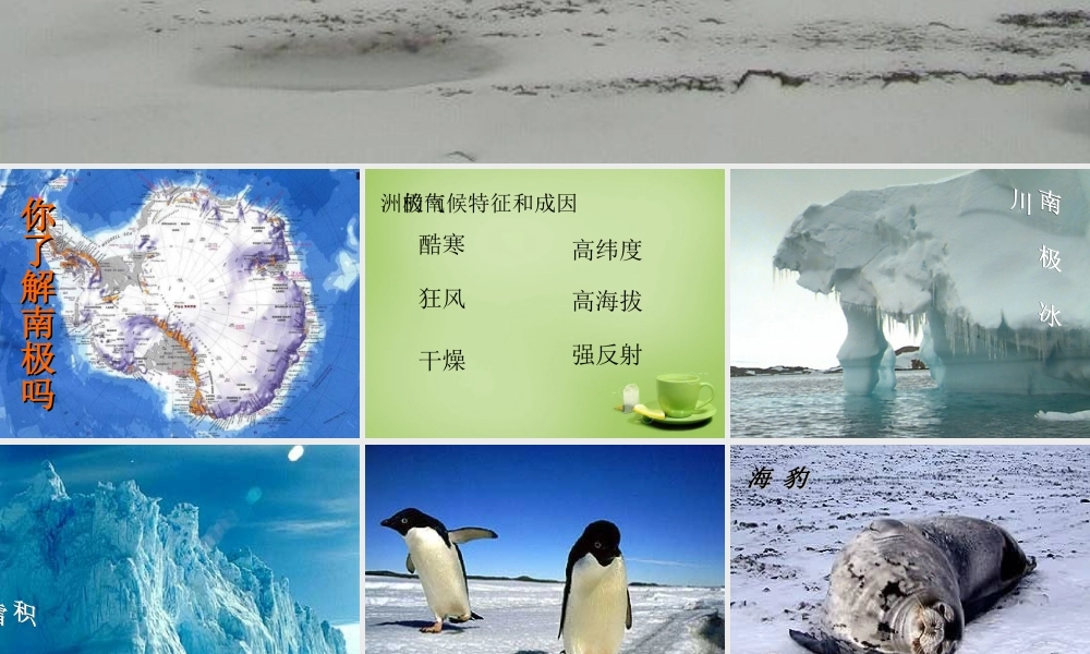 中学七年级语文下册 5.21(伟大的悲剧)课件 (新版)新人教版 课件