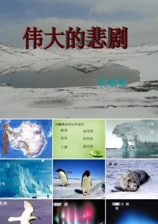中学七年级语文下册 5.21(伟大的悲剧)课件 (新版)新人教版 课件