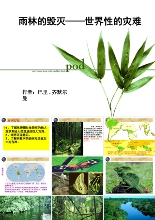 《雨林的毁灭——世界性灾难》