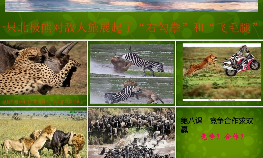 八年级政治上册 4.8.1 竞争 合作课件 新人教版 课件