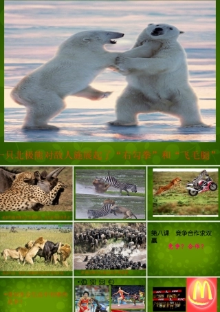 八年级政治上册 4.8.1 竞争 合作课件 新人教版 课件