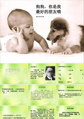 中学七年级语文上册 4 安恩和奶牛课件 (新版)苏教版 课件