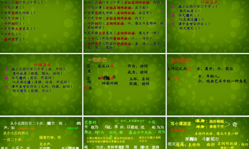 八年级语文上册 16 小石潭记课文分析课件 苏教版 课件