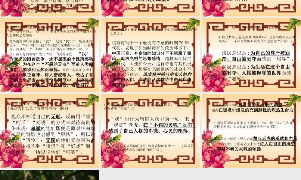 七年级语文下册 (华南虎)教学课件 人教新课标版 课件