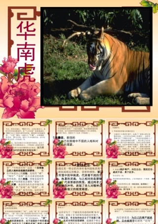 七年级语文下册 (华南虎)教学课件 人教新课标版 课件