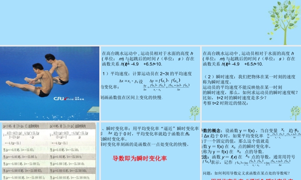 山西省忻州市高考数学 专题 导数概念复习课件