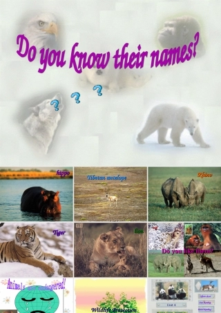 人教版高一英语Do you know their names 课件