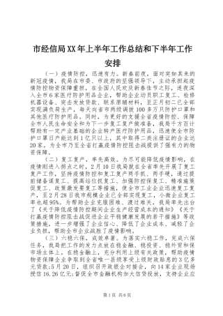 市经信局XX年上半年工作总结和下半年工作安排