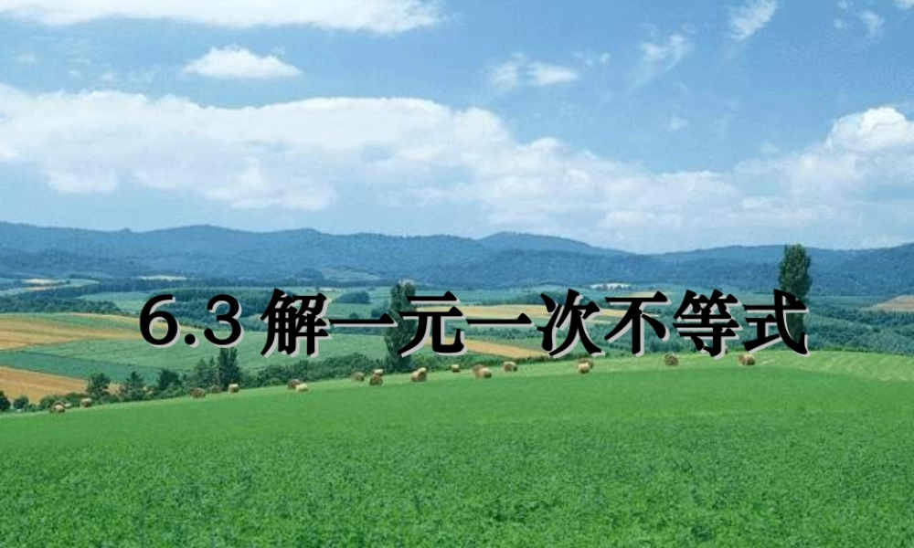 八年级数学 解不等式课件