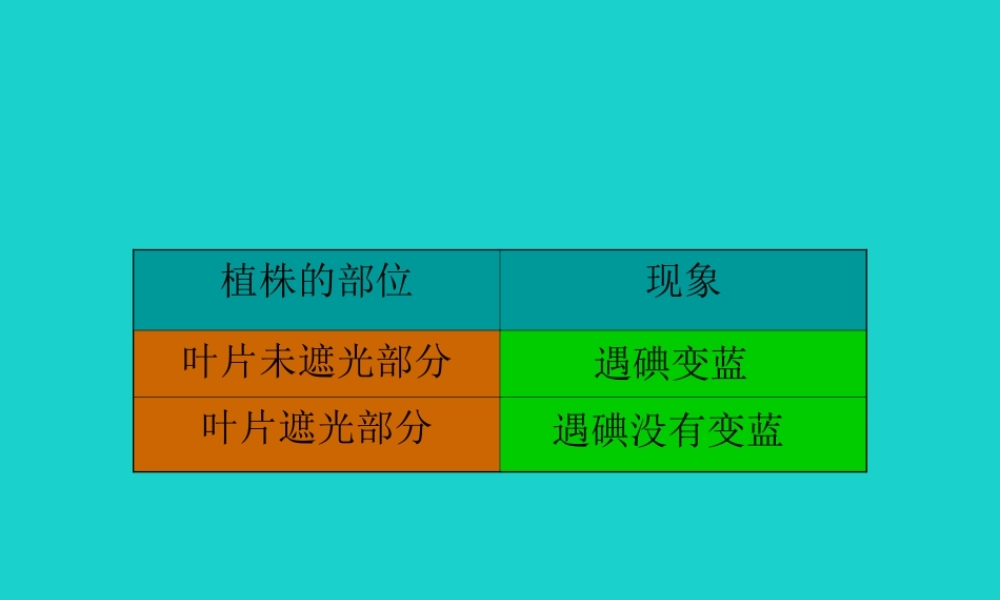 七年级生物上册 第三单元 第四章 第1节 植物的光合作用 天竺葵实验结论课件 (新版)苏科版 课件