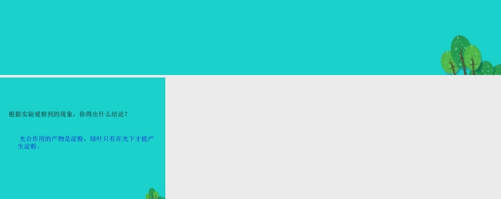 七年级生物上册 第三单元 第四章 第1节 植物的光合作用 天竺葵实验结论课件 (新版)苏科版 课件