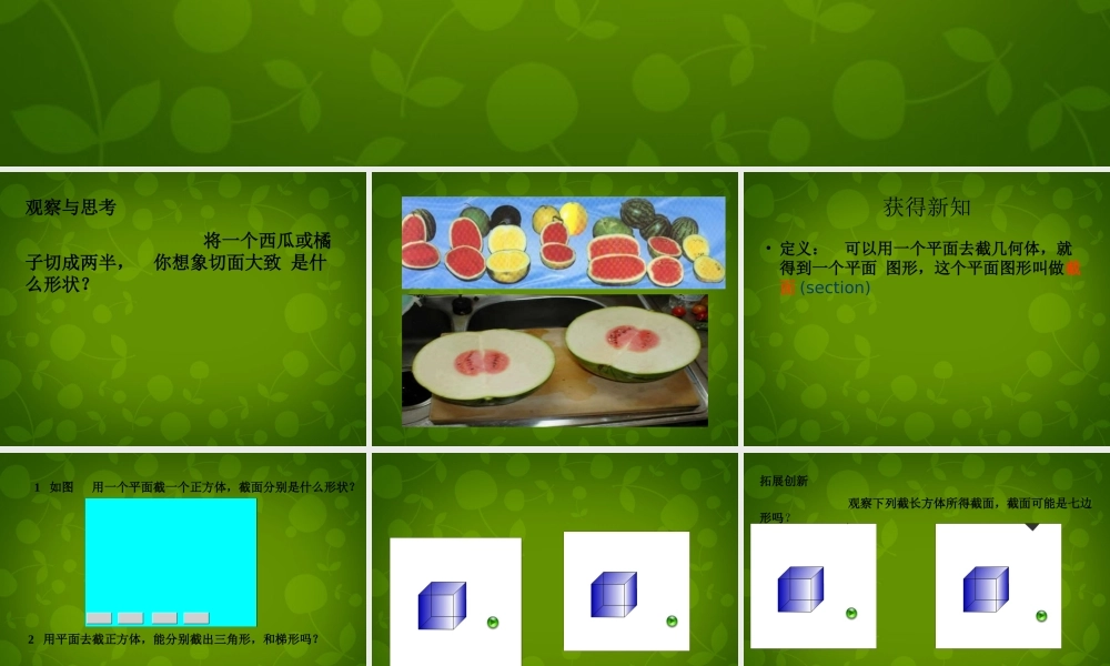中学七年级数学上册 1.3 截一个几何体课件 (新版)北师大版 课件