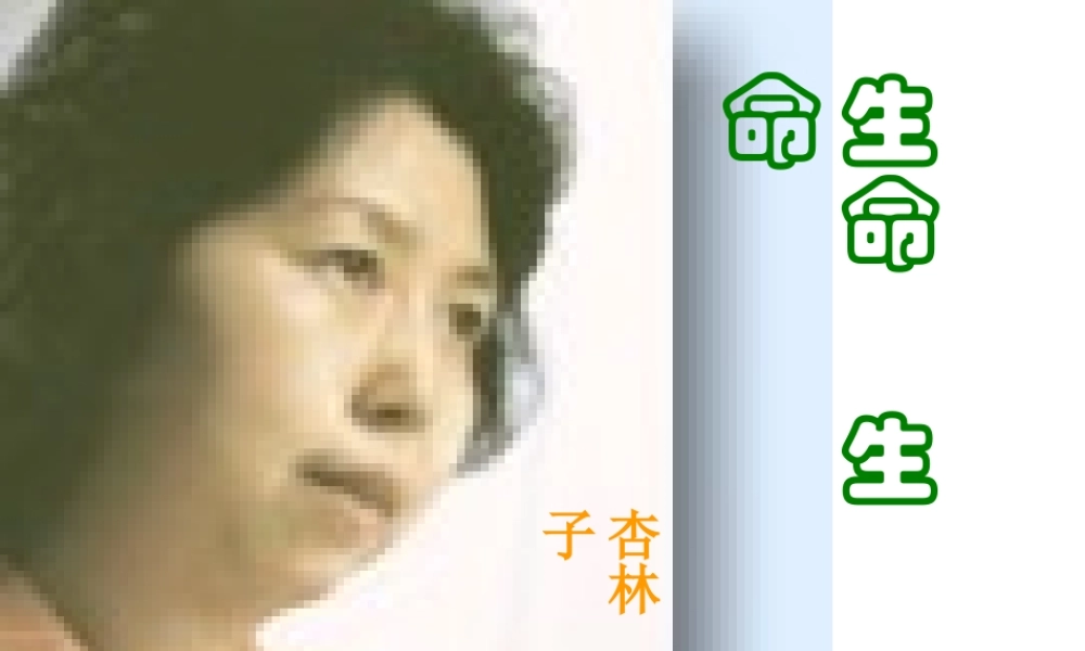 七年级语文生命 生命课件1 新课标 人教版 课件