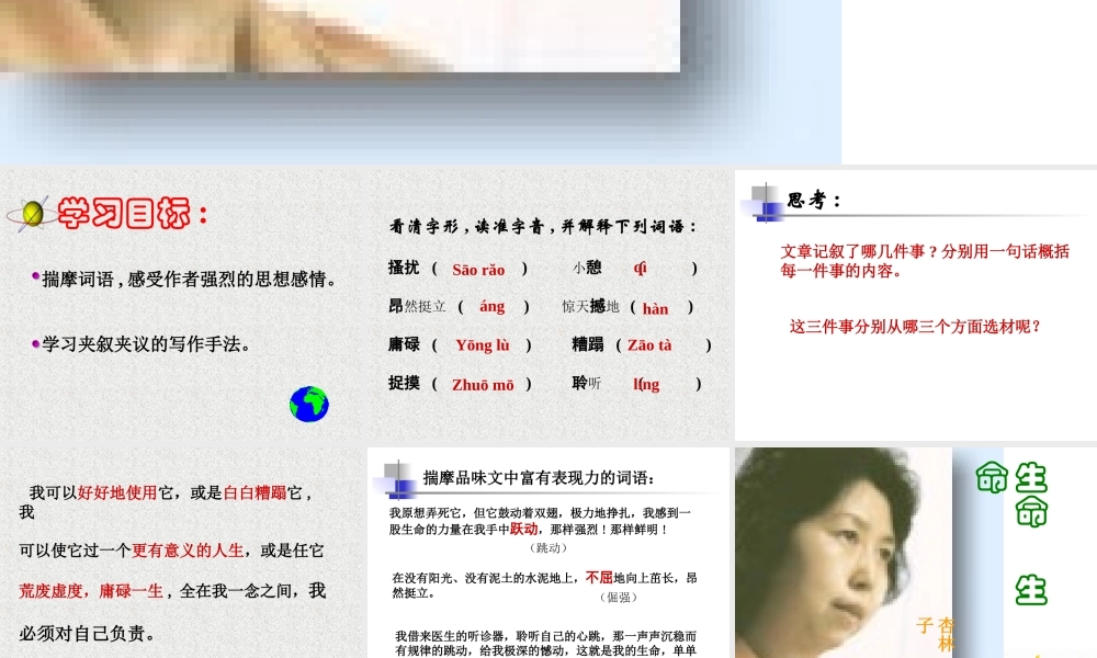 七年级语文生命 生命课件1 新课标 人教版 课件