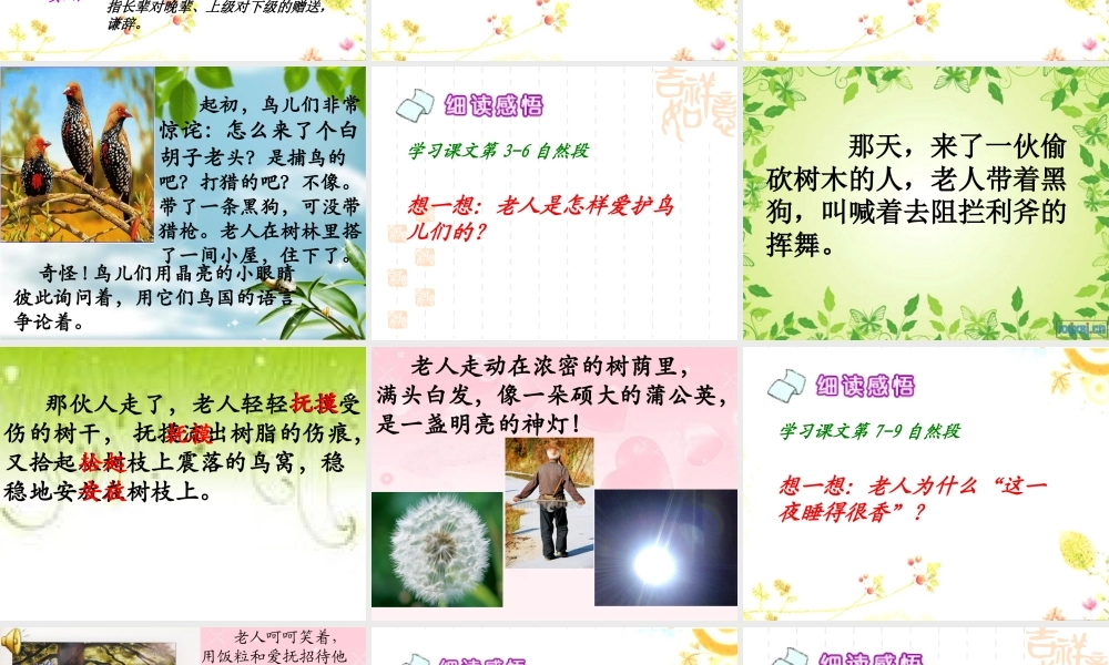 14《小鸟和守林老人》ppt课件1-3