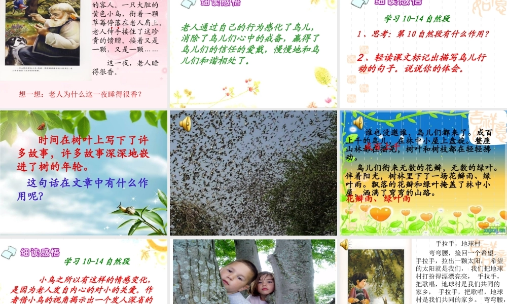14《小鸟和守林老人》ppt课件1-3