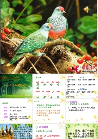 14《小鸟和守林老人》ppt课件1-3
