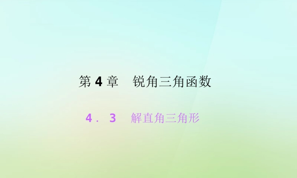 九年级数学上册 43 解直角三角形习题课件 (新版)湘教版 课件