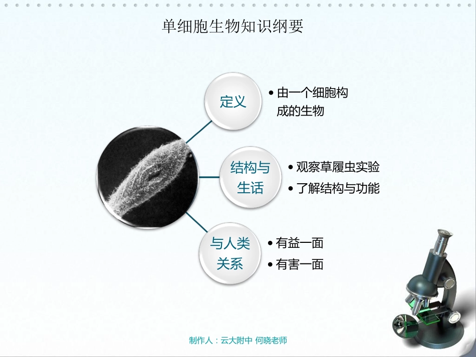 七年级生物上册 单细胞生物课件(pdf) 新人教版 课件_第3页