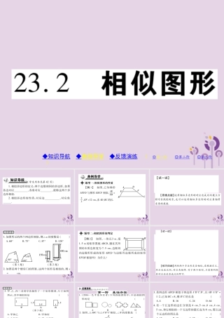 九年级数学上册 第23章 图形的相似 232 相似图形习题课件 (新版)华东师大版 课件