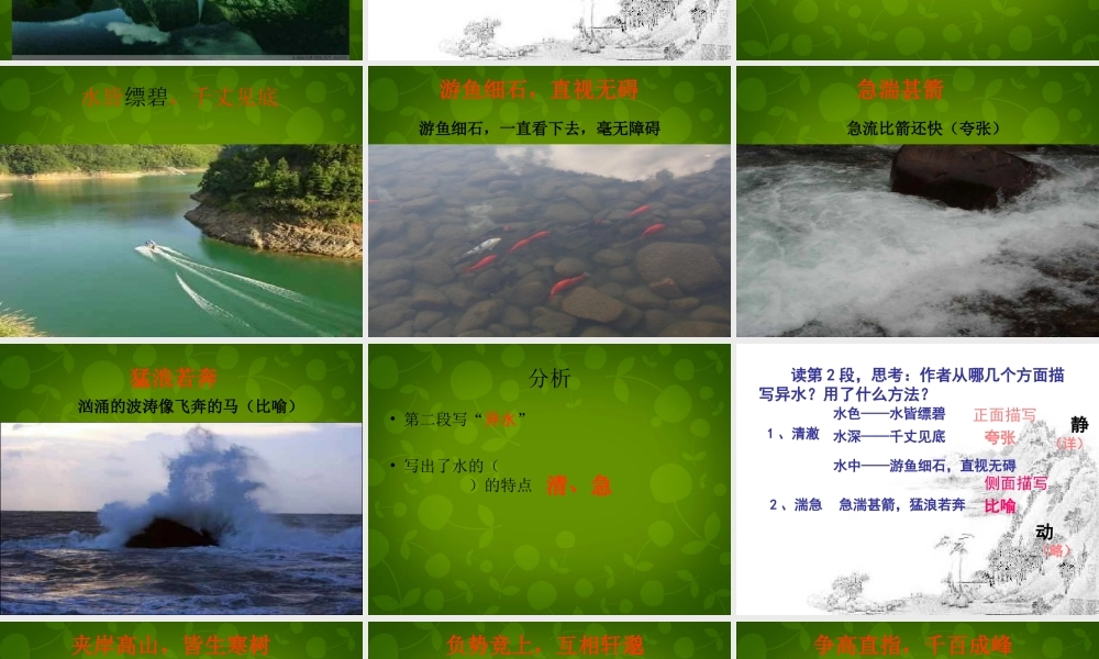 八年级语文下册 7 与朱元思书课件 北师大版 课件