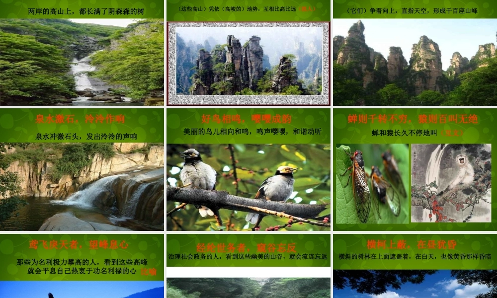 八年级语文下册 7 与朱元思书课件 北师大版 课件