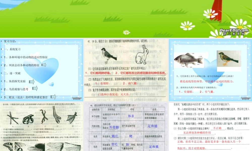 各种环境中的动物八年级生物上册第五单元第一章复习课件