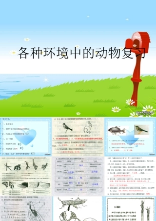 各种环境中的动物八年级生物上册第五单元第一章复习课件