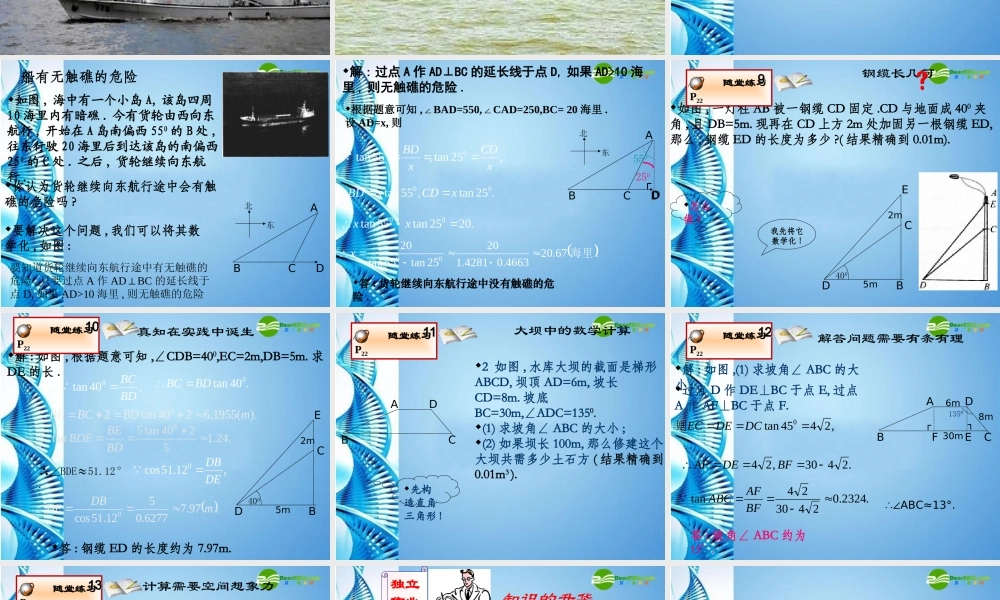 九年级数学下册 (直角三角形的边角关系及其应用)课件 北师大版 课件