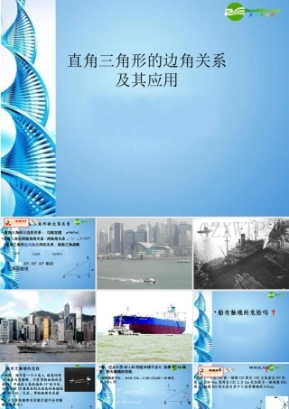 九年级数学下册 (直角三角形的边角关系及其应用)课件 北师大版 课件