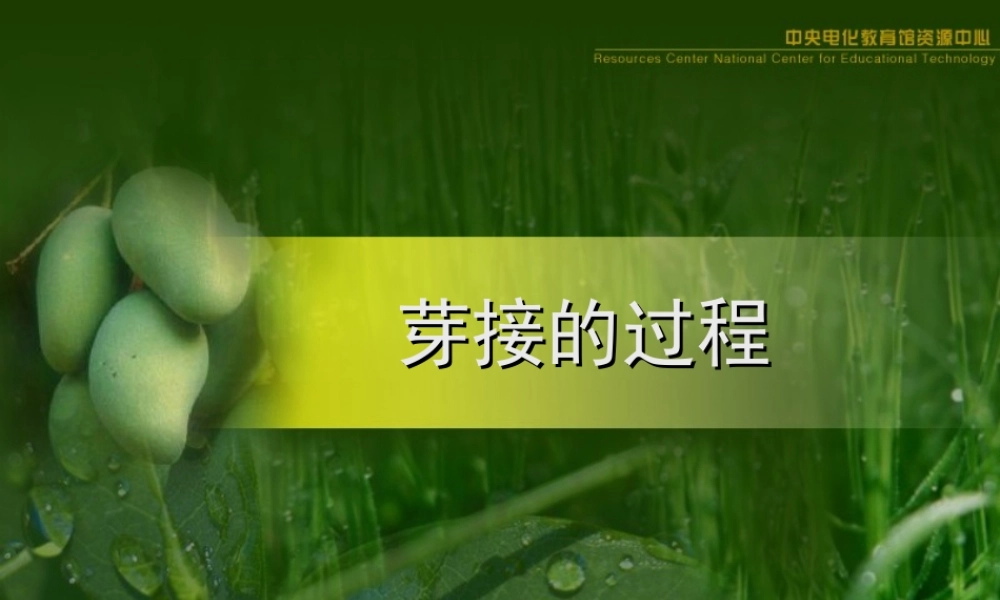 初二生物课件 七单元一章第一节 植物的生殖课件