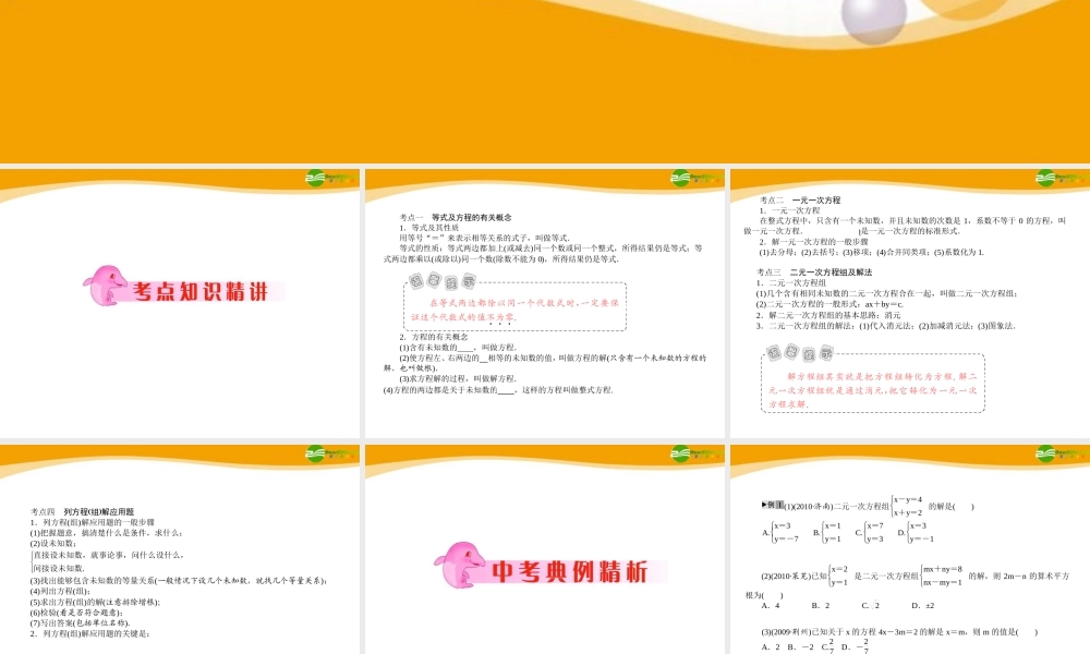 中考数学专题复习 第7讲 一次方程与方程组课件