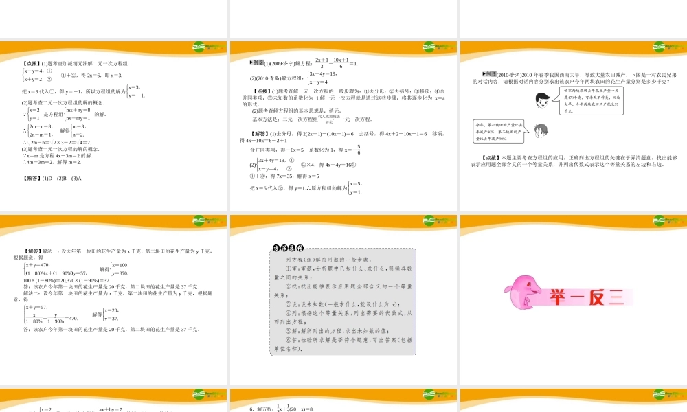 中考数学专题复习 第7讲 一次方程与方程组课件