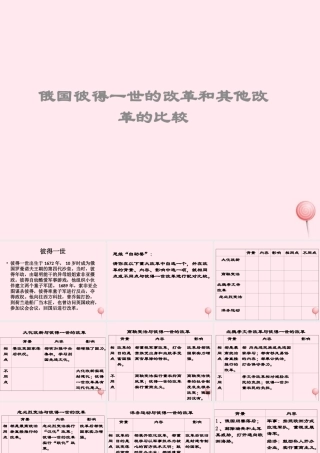 九年级历史下册 第一单元 殖民地人民的反抗与资本主义制度的扩展 第2课 俄国的改革 俄国彼得一世的改革和其他改革的比较素材 新人教版 素材