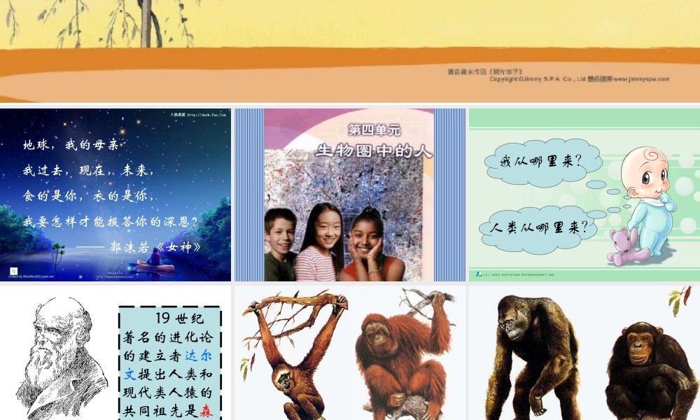 七年级生物下册人类的起源和发展课件新人教版 课件